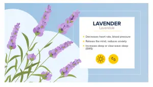 plants for sleep