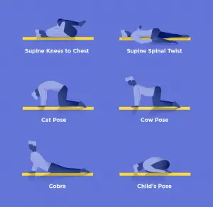 yoga poses back pain relief