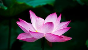 lessons from meditation