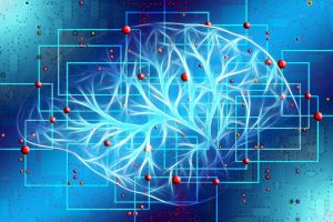regular exercise is good for the brain