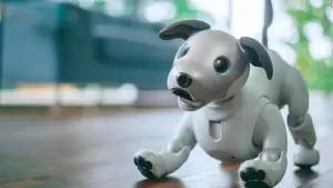robot dogs and mental health